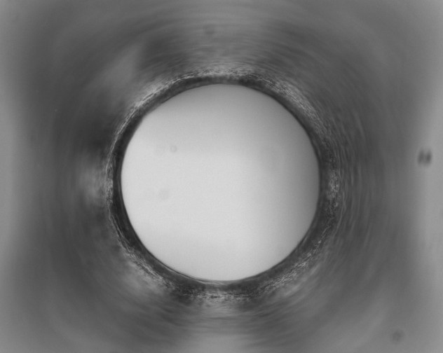 X0000095520632200712141446