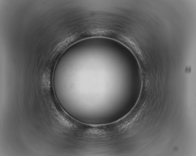X0000095520633200712141446