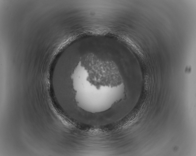 X0000095520634200712141446
