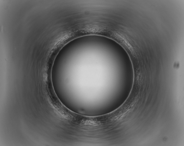 X0000095520635200712141447