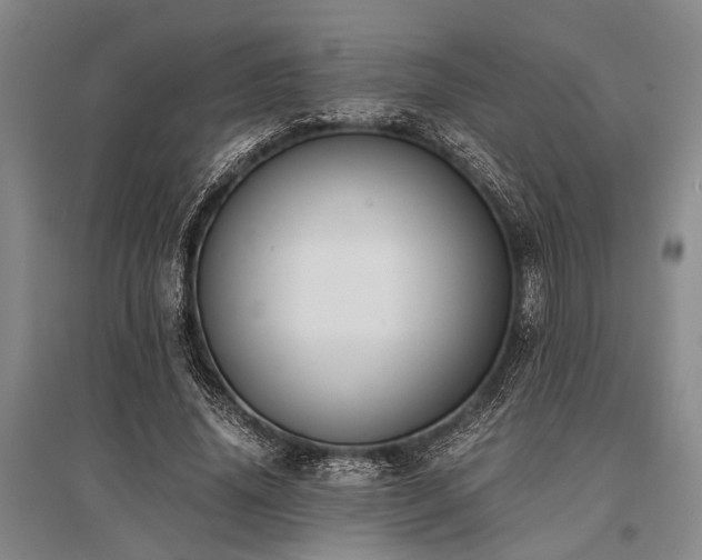 X0000095520636200712141447