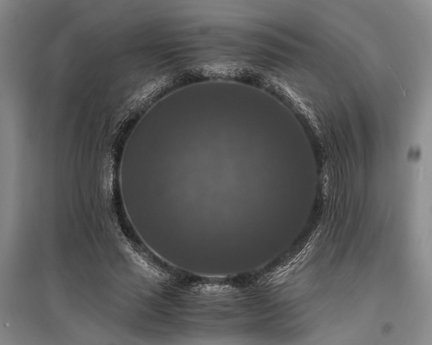 X0000095520637200712141447