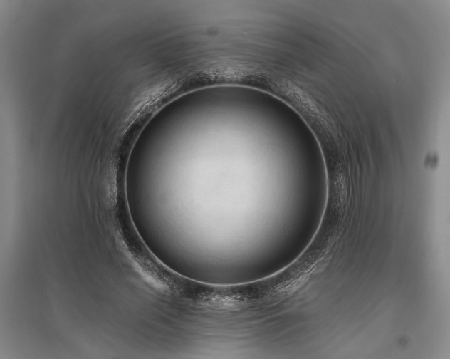 X0000095520638200712141447