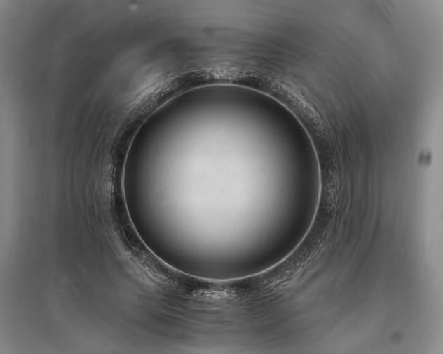 X0000095520639200712141447