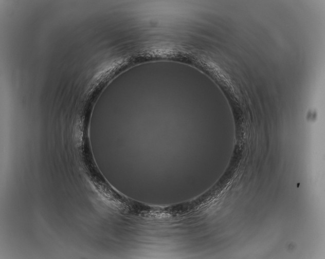 X0000095520640200712141447