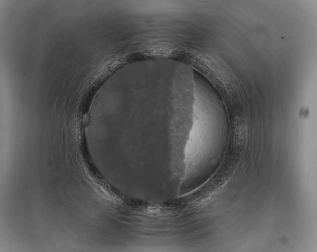 X0000095520641200712141447