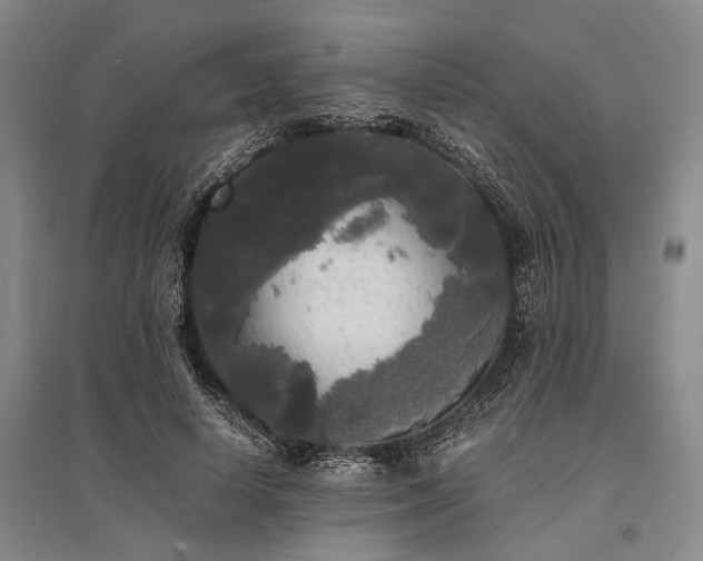 X0000095520642200712141447