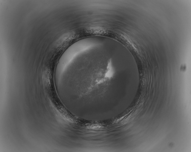X0000095520643200712141447