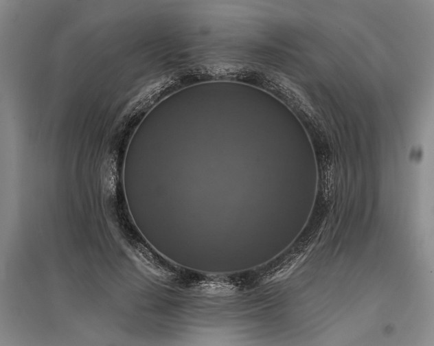 X0000095520644200712141447