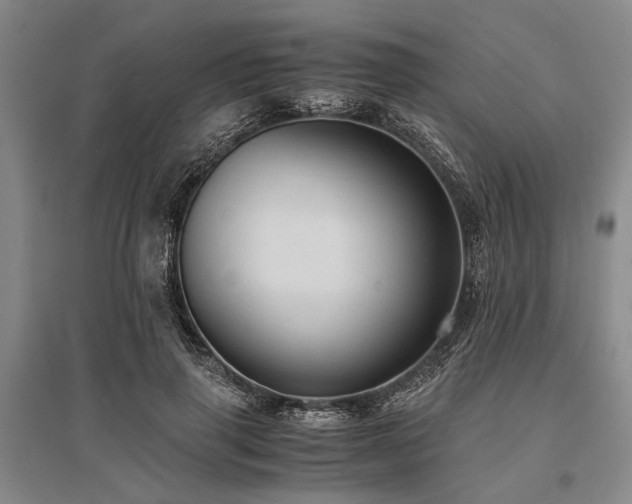 X0000095520645200712141447