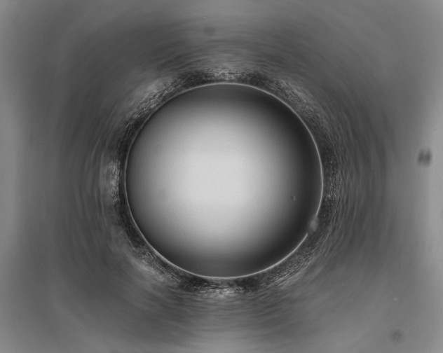 X0000095520646200712141447