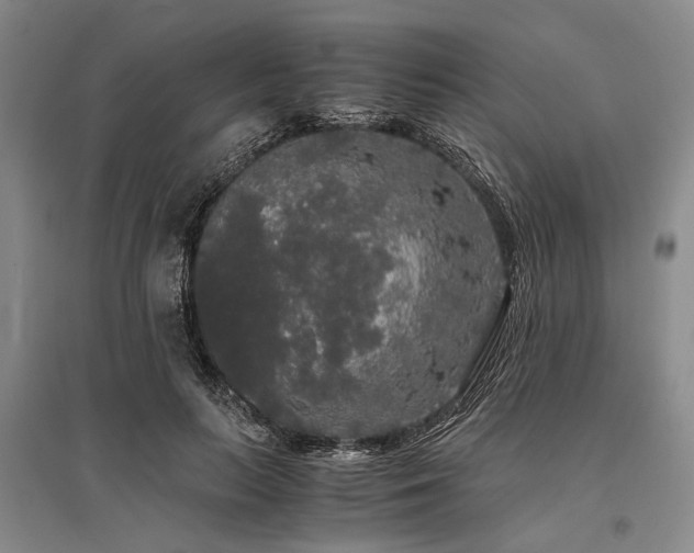 X0000095520647200712141447