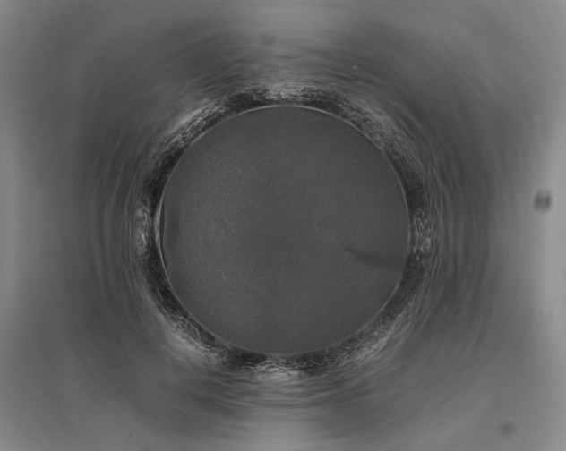 X0000095520648200712141447