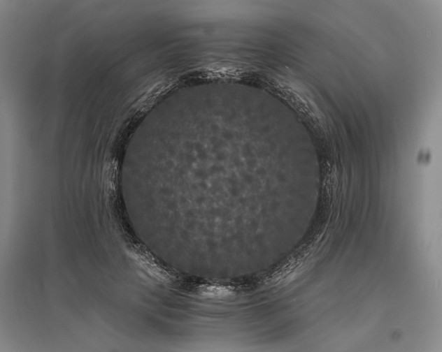 X0000095520649200712141447