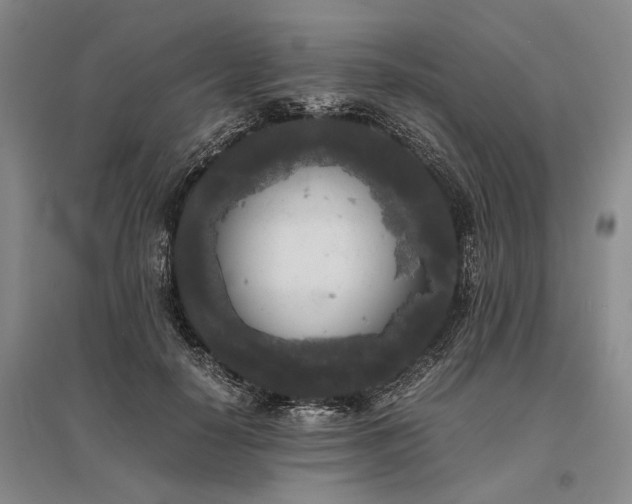 X0000095520650200712141447