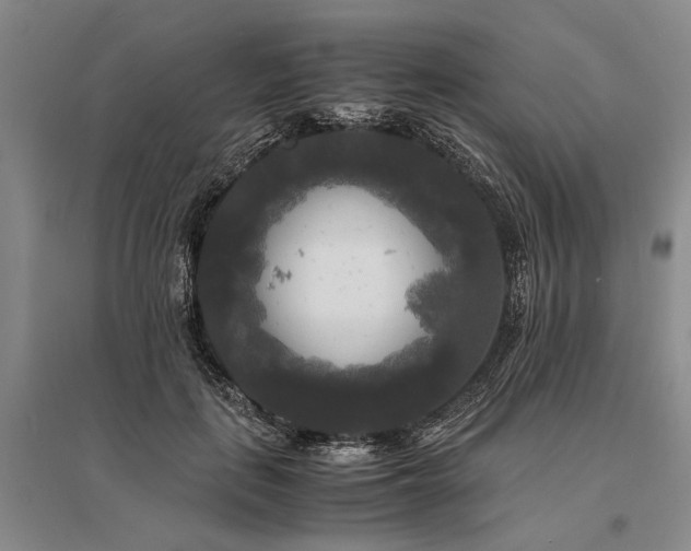 X0000095520651200712141447