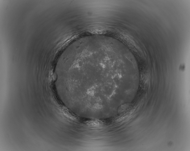 X0000095520652200712141447