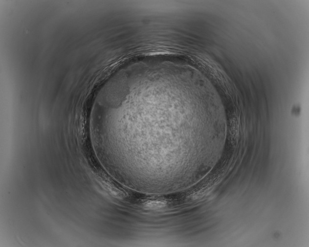 X0000095520653200712141447