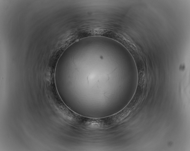 X0000095520655200712141447