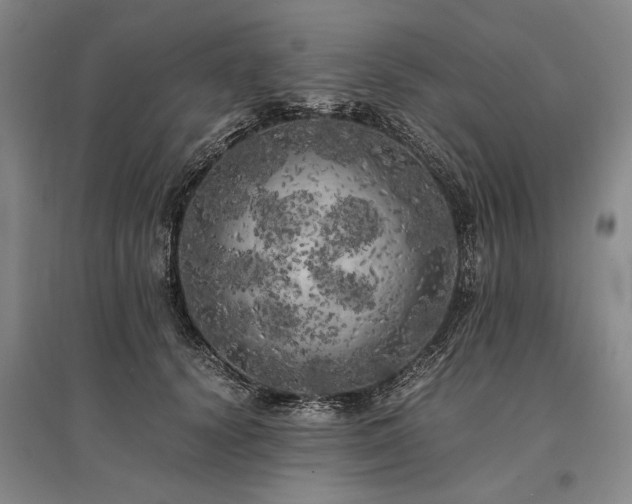 X0000095520656200712141447