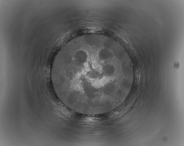 X0000095520657200712141447