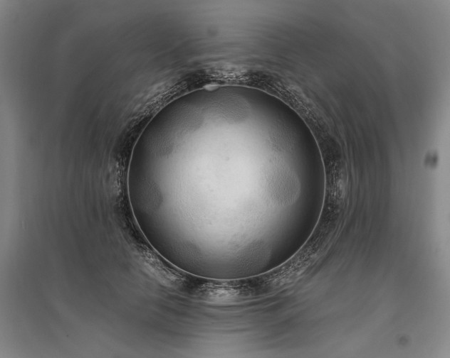 X0000095520658200712141447