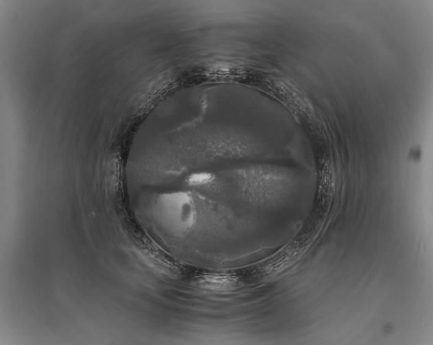 X0000095520659200712141447