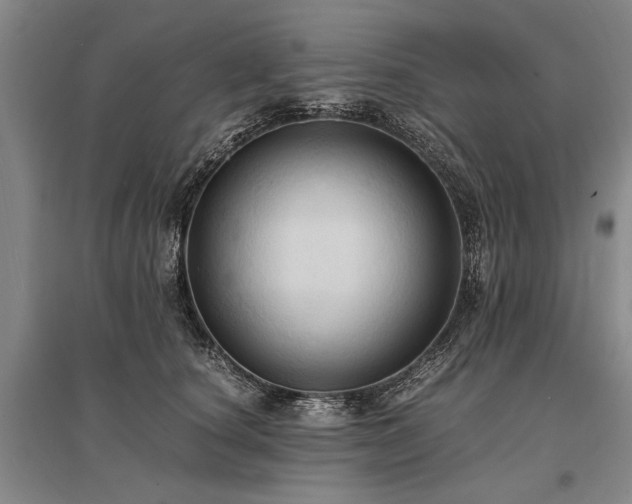 X0000095520660200712141447