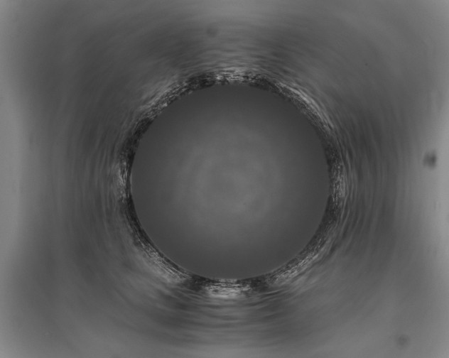 X0000095520661200712141447