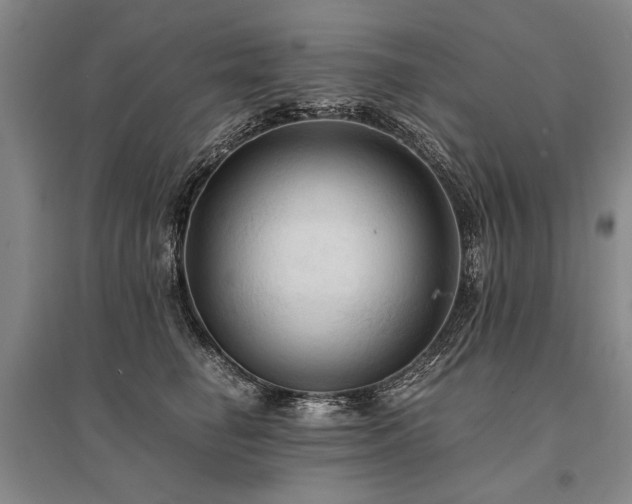X0000095520662200712141447