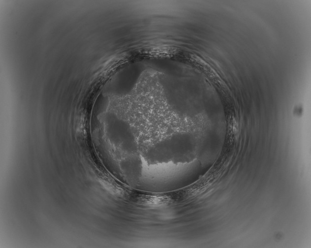 X0000095520663200712141447