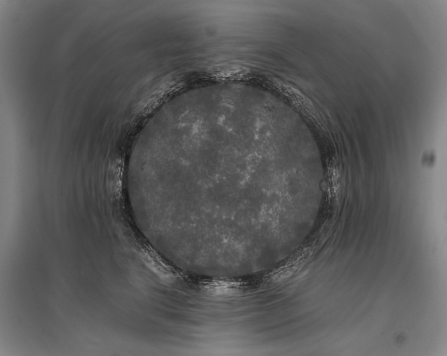 X0000095520664200712141447