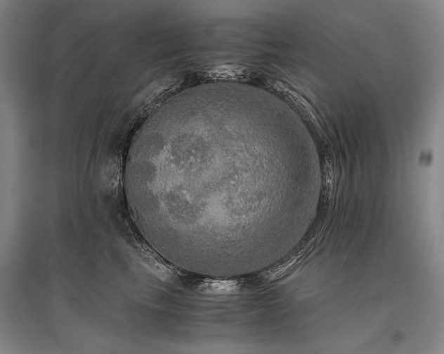 X0000095520665200712141447