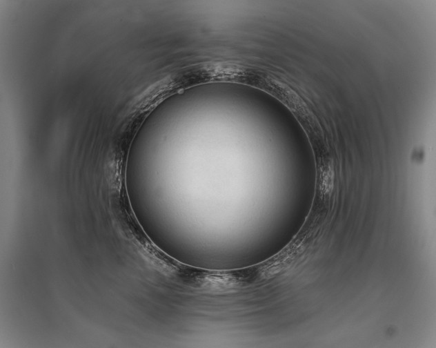 X0000095520666200712141447