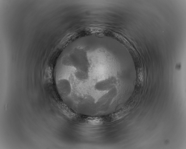 X0000095520667200712141447