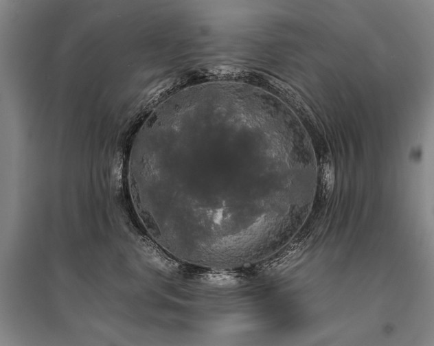 X0000095520668200712141447