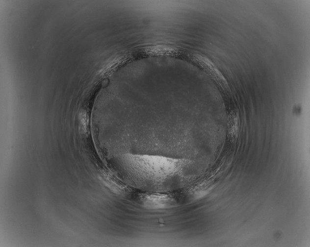 X0000095520669200712141447
