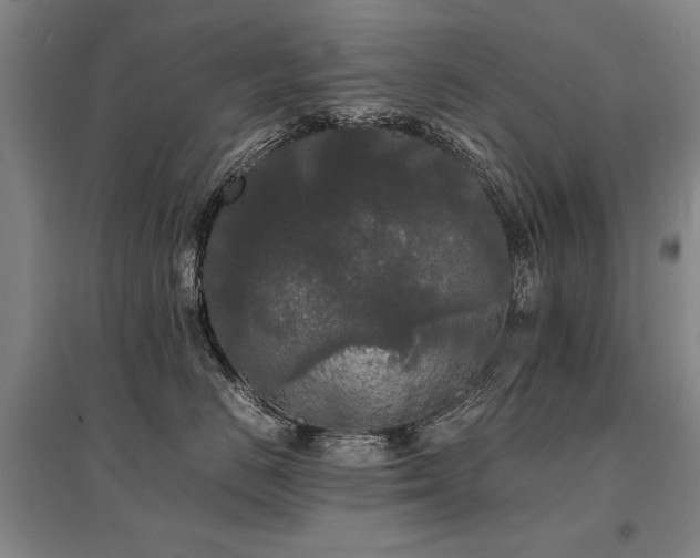 X0000095520670200712141447