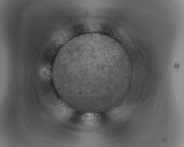 X0000095520672200712141447