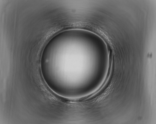 X0000095520673200712141446
