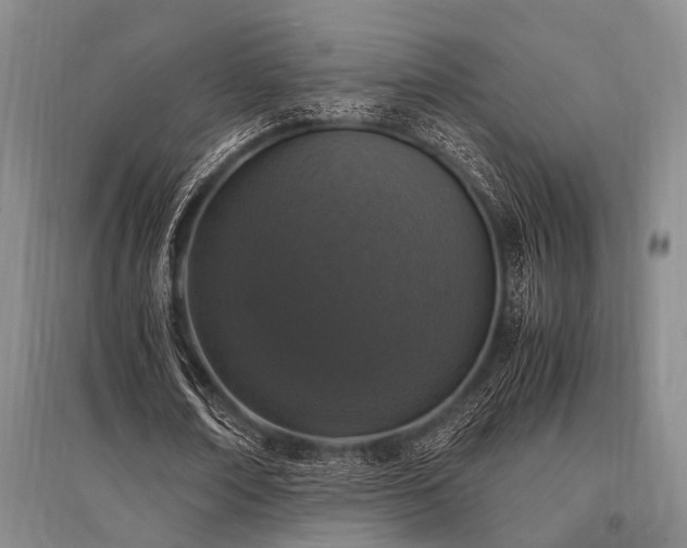 X0000095520674200712141446