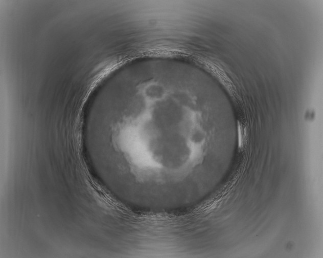 X0000095520675200712141446