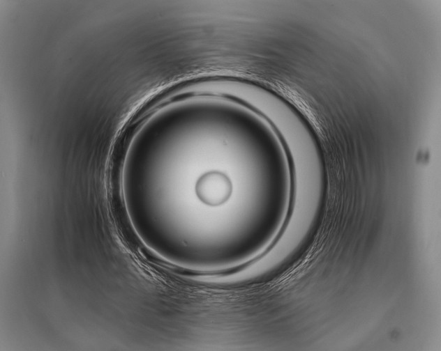 X0000095520676200712141446