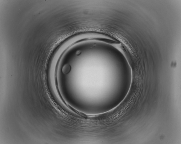 X0000095520677200712141446