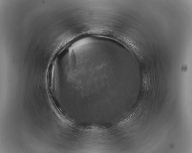 X0000095520678200712141446