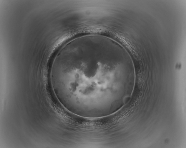 X0000095520679200712141446