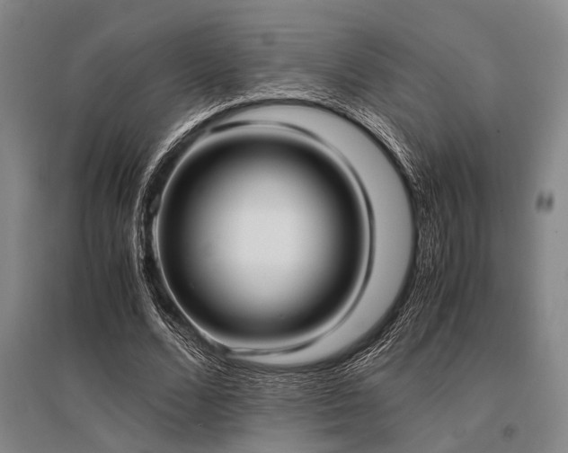 X0000095520680200712141446