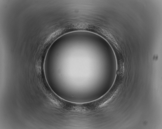 X0000095520681200712141446