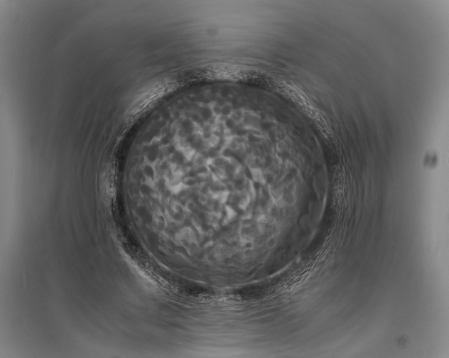 X0000095520683200712141446