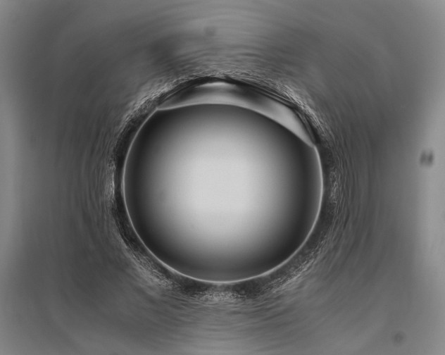 X0000095520685200712141446
